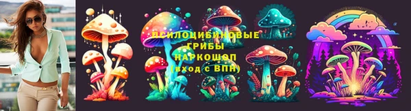 амф Беломорск