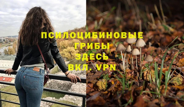 эйфоретик Богородицк