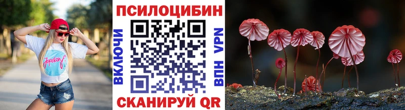 дарк нет официальный сайт  дарнет шоп  Буйнакск  Псилоцибиновые грибы ЛСД  hydra рабочий сайт 